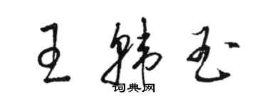 駱恆光王韓玉草書個性簽名怎么寫