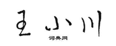 駱恆光王小川草書個性簽名怎么寫