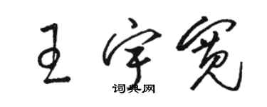 駱恆光王宇寬草書個性簽名怎么寫