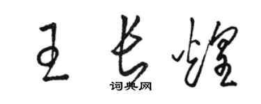 駱恆光王長煌草書個性簽名怎么寫