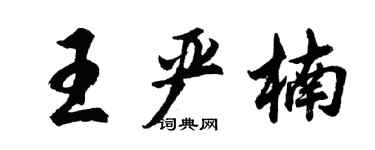 胡問遂王嚴楠行書個性簽名怎么寫