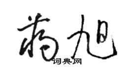 駱恆光蔣旭草書個性簽名怎么寫