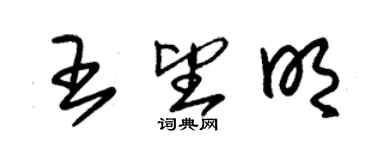 朱錫榮王望明草書個性簽名怎么寫