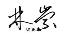 駱恆光林崇草書個性簽名怎么寫