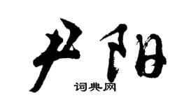 胡問遂尹陽行書個性簽名怎么寫