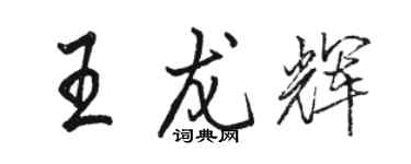 駱恆光王龍輝行書個性簽名怎么寫