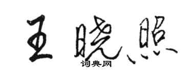 駱恆光王曉照行書個性簽名怎么寫