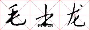 毛士龍怎么寫好看
