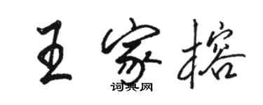 駱恆光王家榕行書個性簽名怎么寫