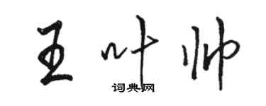 駱恆光王葉帥行書個性簽名怎么寫