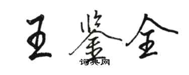 駱恆光王鑑全行書個性簽名怎么寫