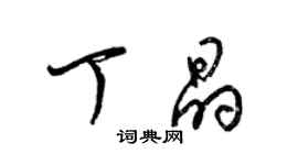 梁錦英丁晶草書個性簽名怎么寫