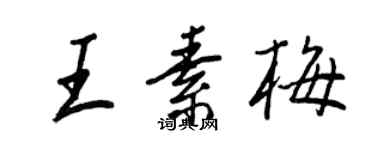 王正良王素梅行書個性簽名怎么寫