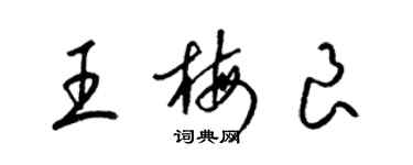 梁錦英王梅良草書個性簽名怎么寫