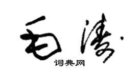 朱錫榮毛濤草書個性簽名怎么寫