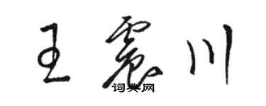 駱恆光王震川草書個性簽名怎么寫