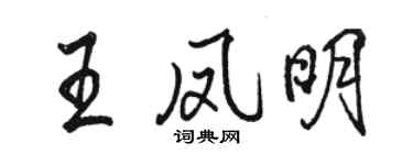 駱恆光王鳳明行書個性簽名怎么寫