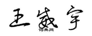 曾慶福王威宇草書個性簽名怎么寫