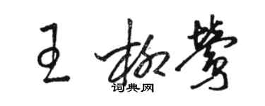 駱恆光王柳鶯草書個性簽名怎么寫