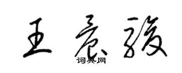 梁錦英王晨駿草書個性簽名怎么寫