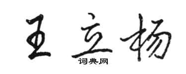 駱恆光王立楊行書個性簽名怎么寫