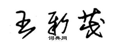 朱錫榮王新茂草書個性簽名怎么寫