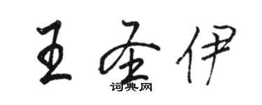 駱恆光王聖伊行書個性簽名怎么寫