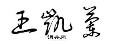 曾慶福王凱蘭草書個性簽名怎么寫