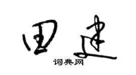梁錦英田建草書個性簽名怎么寫