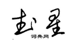 朱錫榮武星草書個性簽名怎么寫