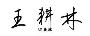 梁錦英王耕林草書個性簽名怎么寫