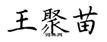 丁謙王聚苗楷書個性簽名怎么寫