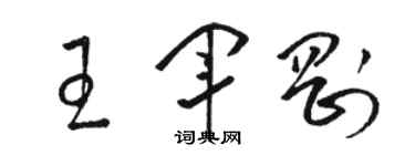 駱恆光王軍剛草書個性簽名怎么寫