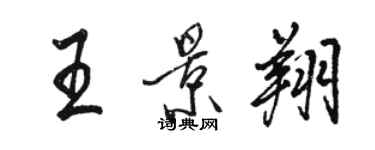 駱恆光王景翔行書個性簽名怎么寫