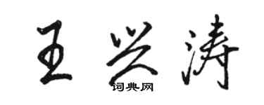 駱恆光王興濤行書個性簽名怎么寫