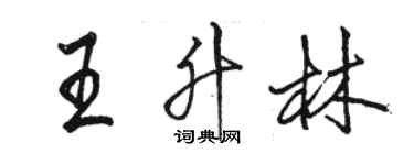 駱恆光王升林行書個性簽名怎么寫