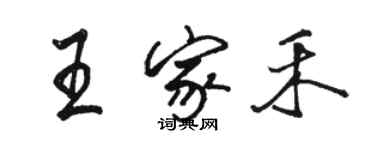 駱恆光王家禾行書個性簽名怎么寫