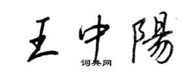 王正良王中陽行書個性簽名怎么寫
