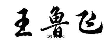 胡問遂王魯飛行書個性簽名怎么寫