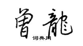 王正良曾龍行書個性簽名怎么寫