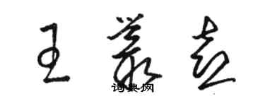 駱恆光王叢喜草書個性簽名怎么寫