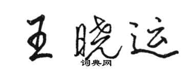 駱恆光王曉運行書個性簽名怎么寫