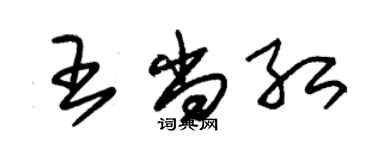 朱錫榮王尚紅草書個性簽名怎么寫