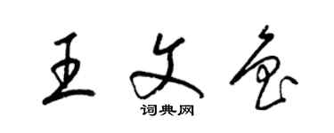 梁錦英王文魯草書個性簽名怎么寫