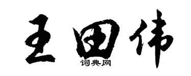 胡問遂王田偉行書個性簽名怎么寫