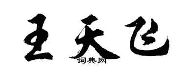 胡問遂王天飛行書個性簽名怎么寫