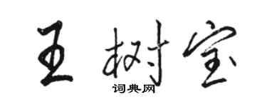 駱恆光王樹寶行書個性簽名怎么寫