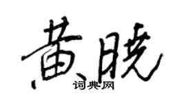王正良黃曉行書個性簽名怎么寫