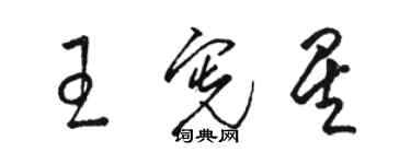 駱恆光王憲星草書個性簽名怎么寫