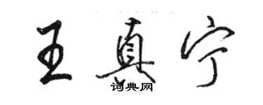 駱恆光王真寧行書個性簽名怎么寫